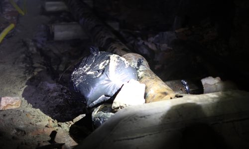 BREAKING NEWS: Mass Grave Found in Collapsed Cave