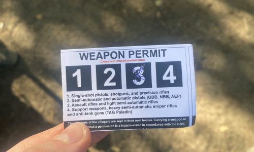 Civilians Granted Carry Permits – Questions Arise About Impact